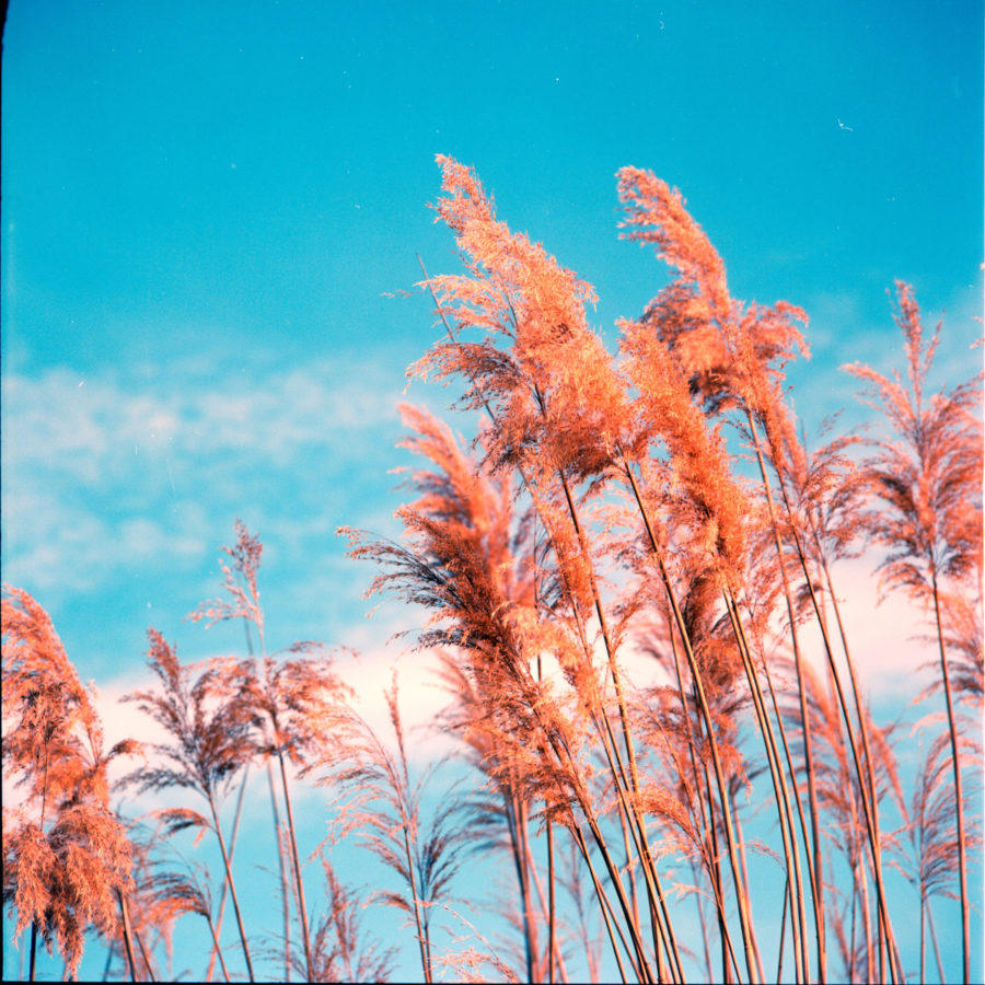 Fotografía artística, documental, conceptual - 00001