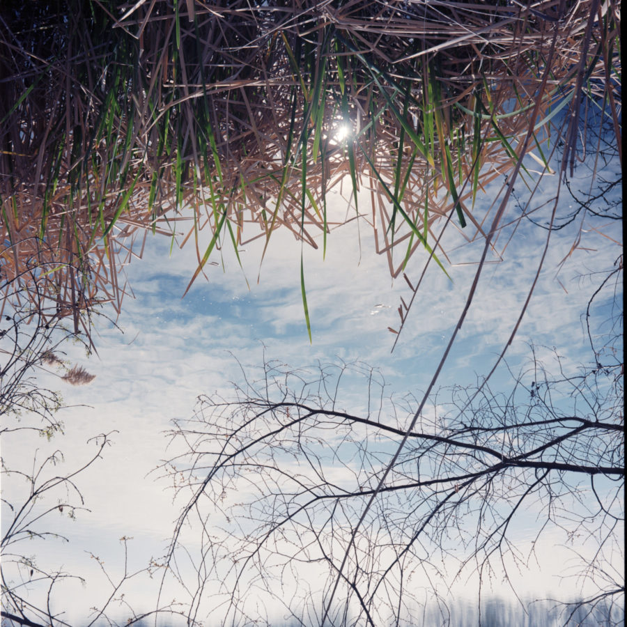 Fotografía artística, documental, conceptual - 00002