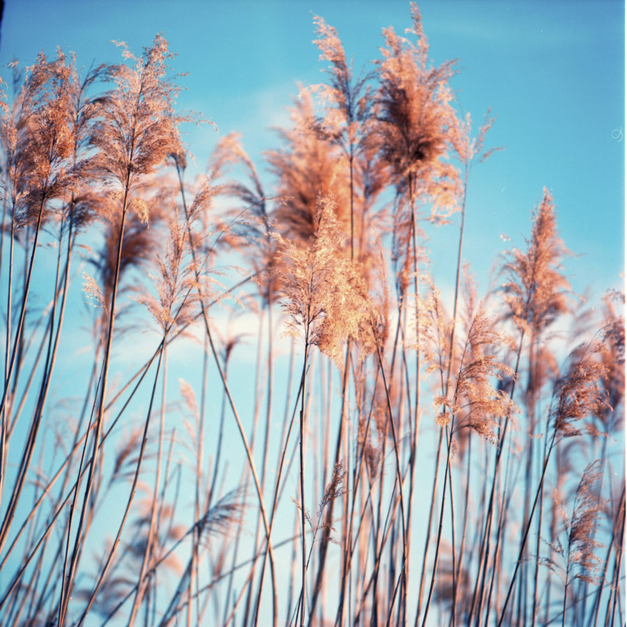 Fotografía artística, documental, conceptual - 00003