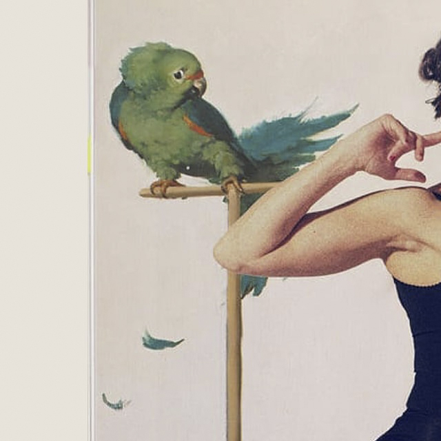 Fotomontaje, fotografía pinup - 00006